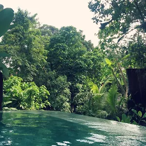 https://raka-rai-bungalows.ubudhotelsnow.com